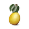 Flavour : Marula