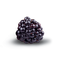 Flavour : Blackberry