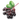 Flavour : Elderberry