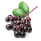 Saveur : Sureau