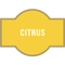 Taste tag : Gin - Citrus