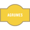Pastille de goût : Gin - Agrumes