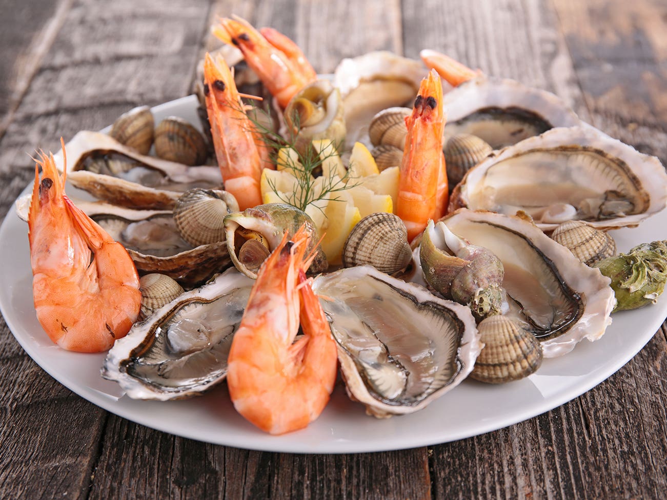 shellfish and oysters