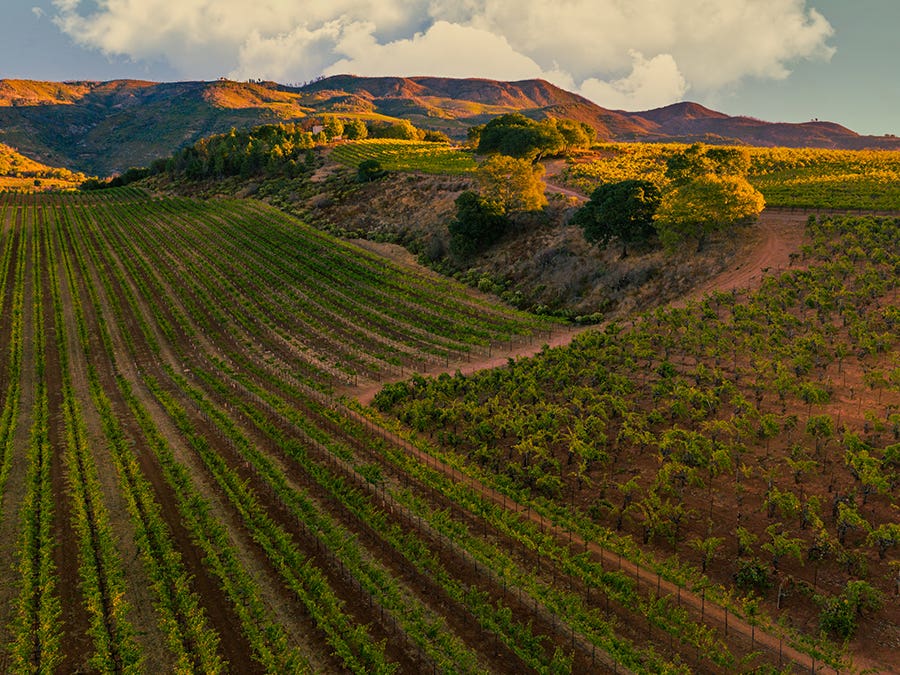 Sonoma