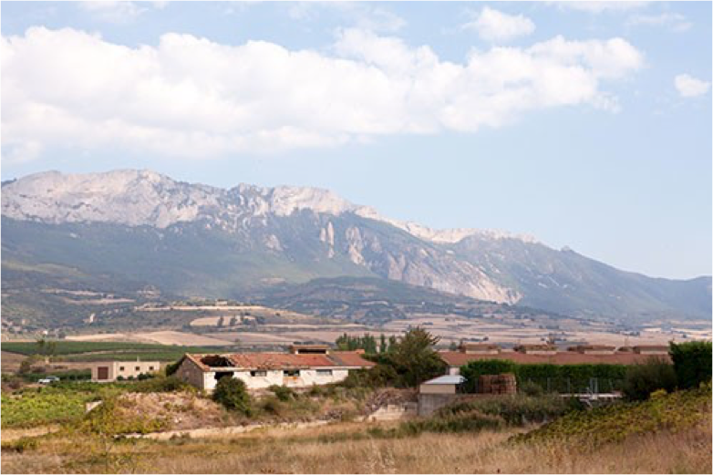 vignes d’Espagne